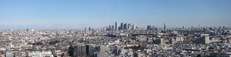 2011/02/13キャロットタワー26F展望台から新宿方面