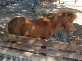 2026/05/30