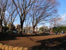 2011/02/13赤松公園