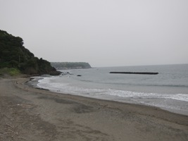 2011/05/03河津浜海水浴場
